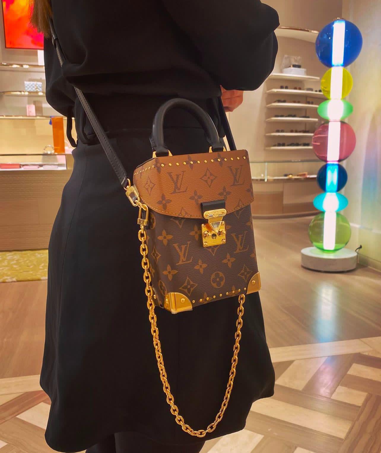Louis Vuitton Camera Box Bag