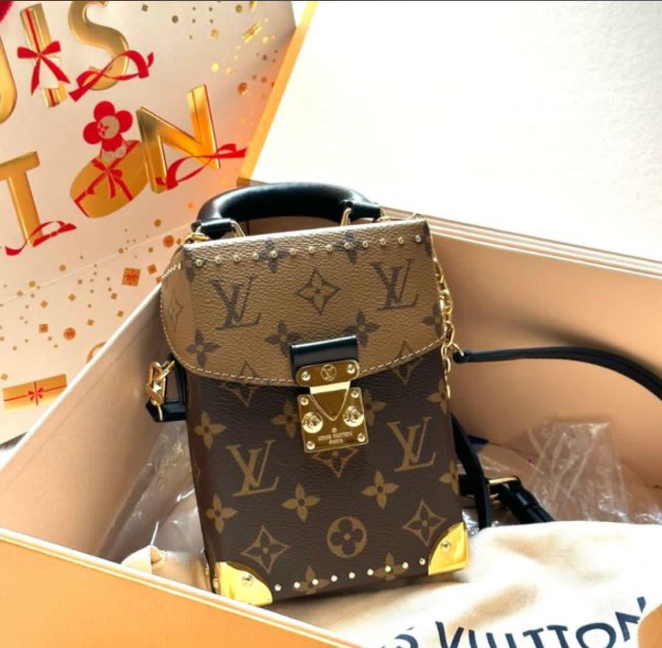 Louis Vuitton Camera Box Bag